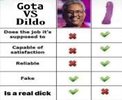 Gota vs Dildo from srilanka musil