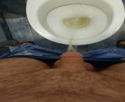 Pissing in the toilet bowl from pissing in public toilet