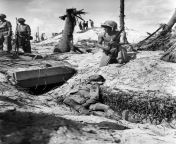 Pvt. Jennings of Columbia, Mississippi, poses near a Japanese sniper he shot as US Marines stormed a Japanese stronghold on Tarawa atoll on November 21, 1943.(AP Photo) from japanese kidnaping