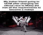 the constitution of malaysia is a perfectly balanced system with no exploits from malaysia indian vandi sareke