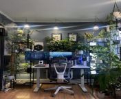 Two of my hobbies in one room: x.x.c and Plants from reshma x c