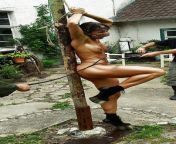 ponygirl whipping post from japanese prison whipping