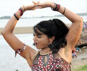 Sameera Reddy from tamil herone sameera reddy xxx photo only