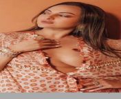 Sonakshi sinha deepest Clevage from sonakshi sinha sexy naga