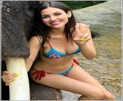 Victoria Justice ... i am ready to trade and rate sexy celebs from victoria strom