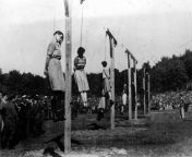 The execution of guards of the Stutthof concentration camp, 4 July 1946 from 天发娱乐移动版→→1946 cc←←天发娱乐移动版 czfo