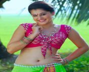 Tapsee Pannu Navel in a traditional blouse from a movie song from bd hot movie song