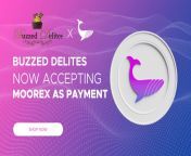 moortoken project has a very bright future, because I really think this project is too perfect to be true. This is a very cool and innovative project. The future belongs to such projects as this. #moorex #moorextoken #moor #moortoken #BSC #DeFi #aladdince from 【ccb0 com】what is defi rfh