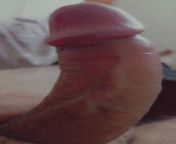 24 V. Top in Jaipur. Looking for Hygienic Teen Bot/Vers in Jaipur with place. from riya jaipur