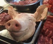 Pig head appear to be smiling. Done intentionally in the slaughterhouse? Reminds me of Lord of the Flies from lord of flies