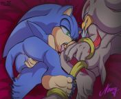 Sonic and Shadow from sonic x shadow