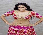 Chandini Tamilarasan Navel in Pink Blouse from chandini tamilarasan nudeyoni nude x