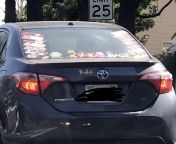 Saw this “Pro Loli” gentleman on my way home today. The windows on the right side were also full of stickers - most notably Loli’s. from loli pornÃƒÂƒÃ‚ÂƒÃƒÂ‚Ã‚Â´