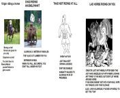 Virgin Horse vs Chad Elephant vs Thad walking vs Lad rape horse from baroda vs sister rape xxx