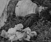 [History] Missionary Joyce Lynn lays dead next to her 3-week-old baby after being killed by Zimbabwean nationalist guerrillas at the Elim Mission station, Zimbabwe, 1978. from zimbabwean diplomatic nudity