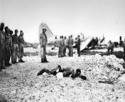 The dead Japanese soldier in the foreground was a member of the suicide airborne unit that struck at Yontan Airfield on the moonlit night of 24 May. The raiders destroyed or damaged 38 aircraft before they were annihilated to a man. Okinawa, 25 May 1945. from margo the suicide