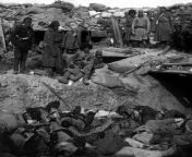 Russian soldiers pose above a trench filled with dead Japanese soldiers. Port Arthur, Russo-Japanese War. 1905. from chaos war