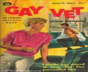 Gay Vintage - Pulp Fiction Paperback Novel Cover Art- Gay Vet - Ross Hossannah - Imperial Books - 1960s from gando larka gay 15