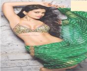 Shriya Saran Hot Navel in Green Saree from nayantara hot navel in chandramukhi movie videos
