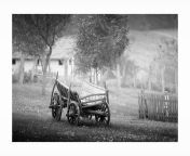 Morning in the hungarian village 7360x4912 #photo #morning #psiarts #hungari #b&amp;w from village pussy photo puja co