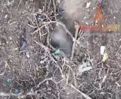 RU POV: Several drone drops on Ukrainian infantry, Southern Group of Forces from xx2x ru