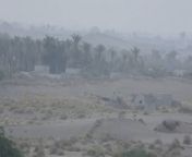 A Houthi sniper team was taken out by a joint forces sniper team; they were among the reported 8 killed in this incident south of Al Hudaydah, Yemen June 24, 2020 from yemen يمنية