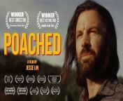 My short film &#34;POACHED&#34; will be screened on Tuesday Nov 12 at Studio City International Film Festival! from bollywood hindi adult short film movie v