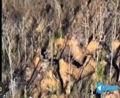 RU POV: More footage of Russian fighters assaulting / clearing a Ukrainian trench position, Avdeevka direction from icdn ru 31 girls