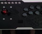 I built an arcade stick with my favorite girls and their DOGS out. from dogs v sex