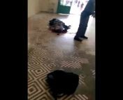 Uncensored. Graphic. Video taken right after the police shooting at the Suzano school. It shows two students and two female employees dead in the school hallway. from fucked by the police teenies at the limit public hard used