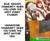Blue Archive and Umamusume Community be like: from h6 qe74yaae