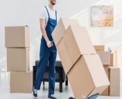 King Movers Dubai - Cheap and Best Packers Movers in Dubai - Fast And Affordable price in Dubai from uzbekistan girls sex in dubai