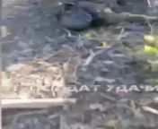 Ru pov: ? The destroyed unit of the Armed Forces of Ukraine on the Kupyansky front . A group of soldiers of the Armed Forces of Ukraine was destroyed by soldiers of the Western Group during an offensive operation in the Kharkov region. from note the default playback of the video