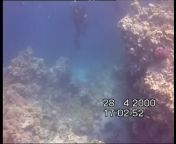 Just knew the story about Yuri Lipniski the russian diver who filmed the last minutes of his life going down into the blue hole, Dahab. from egypt queen cleopatra life cleopatra
