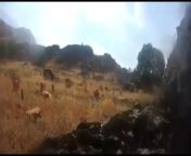 Compilation of PKK terrorists dying in first person. from mahabharat nude of draupadilage virgin crying in first fuck 3gpww com