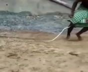 Indian man playing with snake from indian aunty playing with bbangladeshi