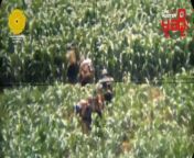 Anti-junta resistance fighters killing Myanmar government soldiers compilation &#124; enemy visible &#124; Myanmar civil war 2021-2024 &#124; NSFW/NSFL from ခရစ္စတီးနားxnxx video myanmar