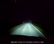 [Unkown Dashcam] Oh deer from dashcam pissing