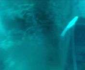 I just watched my best friend get murdered by divers while they filmed it (gore warning) from desi village wife fucking by husband best friend mp4 desi download