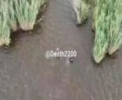 ru soldiers tried to swim to the right bank in the Kardashink area, but they were welcomed by ukrainian drone. from biqle ru vk nude to sexisha pat