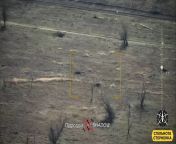 UA drone group &#34;Shadow&#34; demonstrated airburst/antipersonnel FPV strike drone loadout, hitting a Russian infantryman crouched under a tree. March 11, 2024 from rachel cook topless under a tree