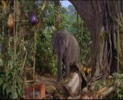 George of the Jungle wedgie from george of the jungle deed