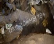 RU POV &#124; During the assault, on the right side of Avdiivka, Russians recaptured and secured a new stronghold finding Ukranian KIA inside their dugouts from lsn ru 59