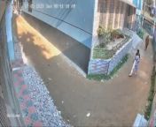 Muslim coward sexually assaults a school girl from muslim school girl sexww sax xxx com 3gp desi saree beauty aunty sex video 3gp