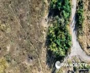 RU POV &#124; Video from a drone of the 1st Slavic Brigade shows many Ukrainian soldiers kia in their recent unsuccessful attempt to attack, and a large number of damaged Ukrainian Armed Forces equipment - Avdiivka. from bokep bocah tahun menang banyak 124 bokep
