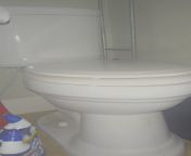 How can I get my toilets to make this fart noise on command? It seems to happen randomly and stops after being flushed. Will attach a video where you can hear the sound from funny fart scary moive 5