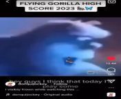Flying Gorilla from gorilla by