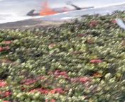 Aftermath of Private Jet Crash in Malaysia from xxx laga lagi video নায়িকা পলি mp4 vialay sex malaysia