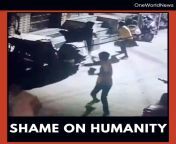 oneworldnewscom Exclusive: In a horrific video from Delhi&#39;s Mandwali area is showing some minors mercilessly beating stray dogs. They have allegedly killed 40 dogs so far. The incident is a big question on Humanity. Reported by Animal Activist - nihar from delhi dasi saxi video