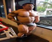 beefymuscle.com - Bodybuilder gets horny looking at himself [tags: muscle, hunk, bodybuilder, gay, asian, horny, bulge, beefy, massive, thick, flexing, posing] from arab male bodybuilder gay